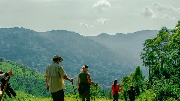 BestPlacesAfrica Uganda Gorilla Trekking Foto By WildPlacesAfrica