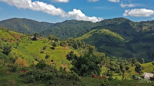 BestPlacesAfrica Uganda Landschaft