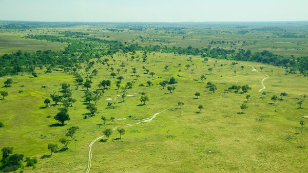 Botswana Luftaufnahme