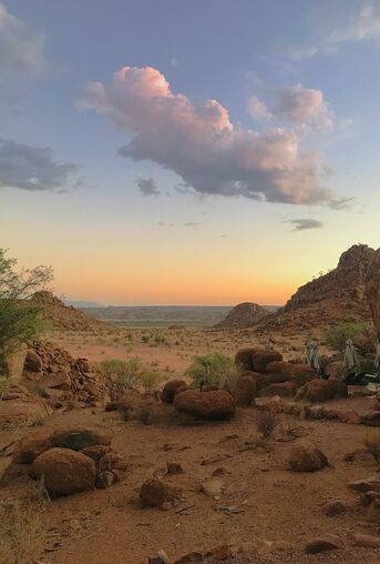 Alt: Text: Namibia_Mowani