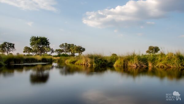 BestPlacesAfrica Botswana Flussarm