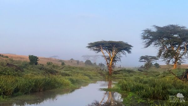 BestPlacesAfrica Kenia Tree