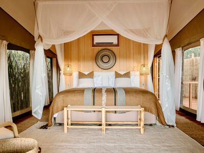 Ongava Encounter By Ongava