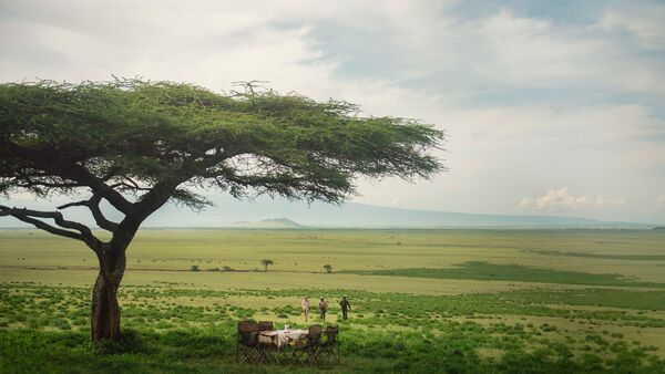 BestPlacesAfrica Tansania Tree Foto By NomadTanzania