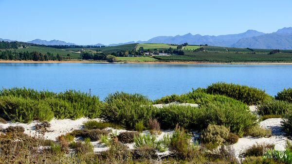 BestPlacesAfrica Suedafrika Winelands