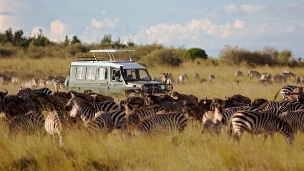 BestPlacesAfrica Tansania Migration Zebras Gnus
