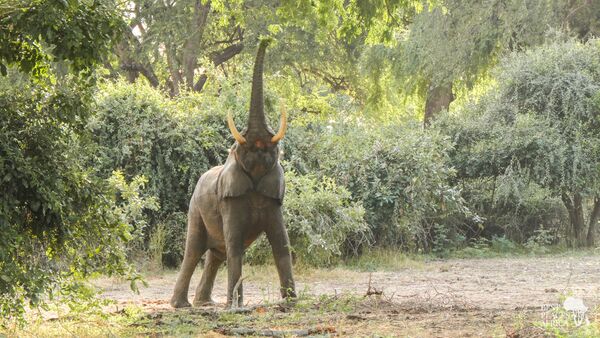 BestPlacesAfrica Simbabwe MP