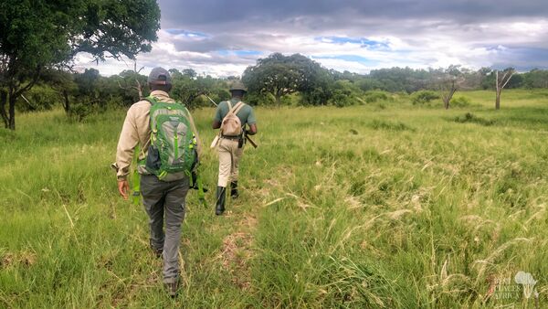 BestPlacesAfrica Tansania Serengeti Walking Safari