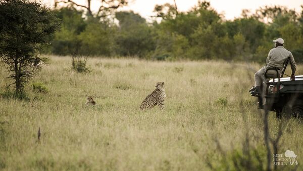 BestplacesAfrica Suedafrika SabiSands