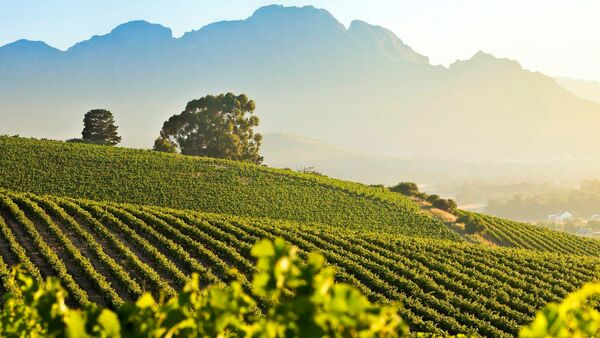 BestPlacesAfrica Suedafrika Stellenbosch Winelands Delaire Graff
