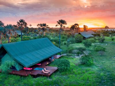 Natural Selection Jacks Camp