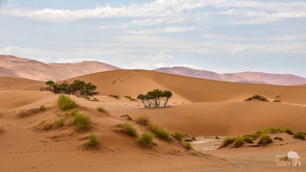 BestPlacesAfrica Namibia Sossusvlei