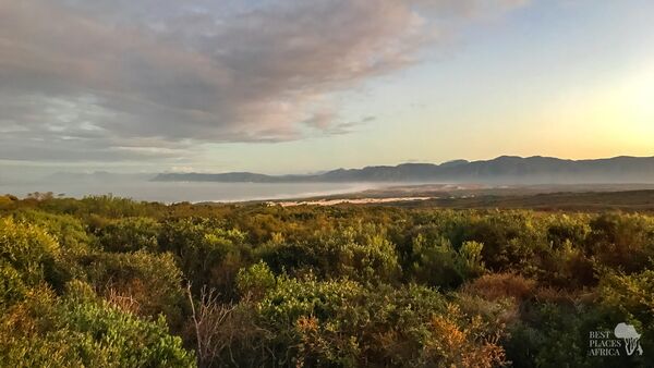 BestPlacesAfrica Suedafrika Grootbos