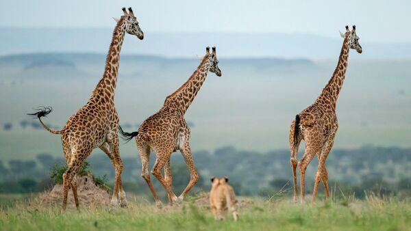 BestPlacesAfrica Tansania Foto By NomadTanzania