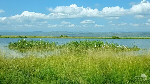 BestPlacesAfrica Uganda Murchinson Falls Park