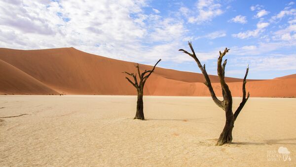 BestPlacesAfrica Namibia Deadvlei