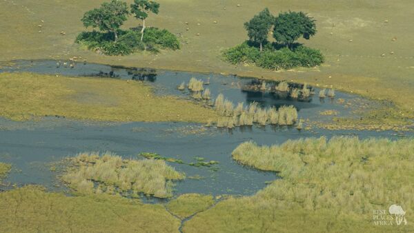 BestPlacesAfrica Botswana Okavango Delta Luftaufnahme