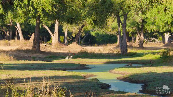 BestPlacesAfrica Simbabwe Mana Pools NP