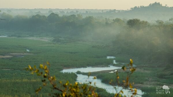 BestPlacesAfrica Suedafrika Mala Mala