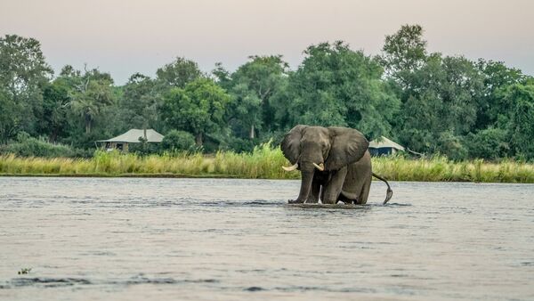 BestPlacesAfrica Elephant Foto By Verena Mulder