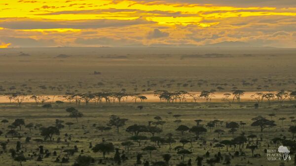 BestPlacesAfrica Tansania Serengeti
