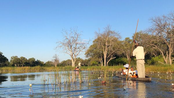 Mokoro Okavango Delta