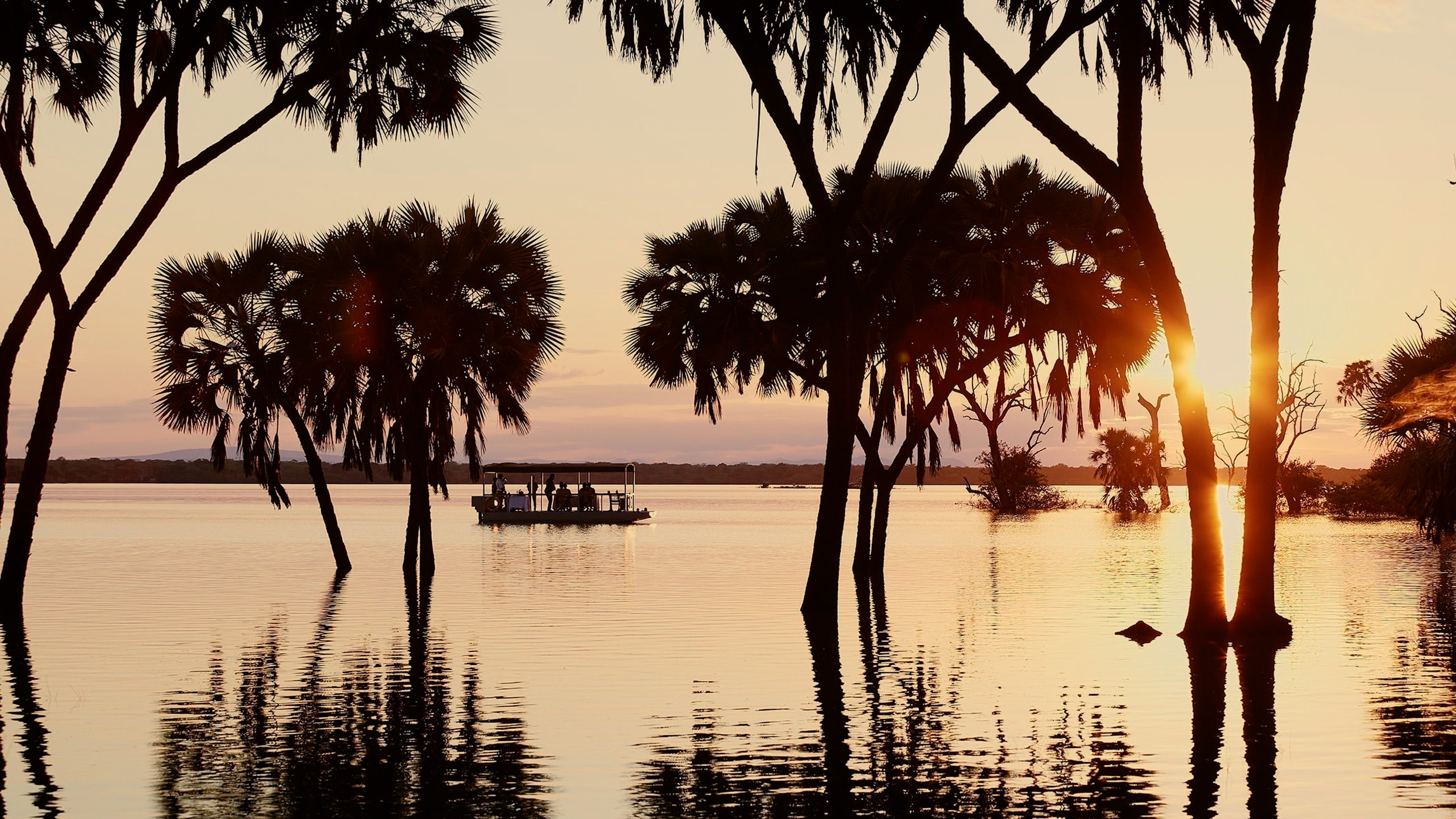 Header BestPlacesAfrica Tansania Experience Laba Laba Mangroven